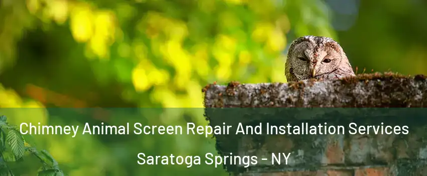  Chimney Animal Screen Repair And Installation Services Saratoga Springs - NY