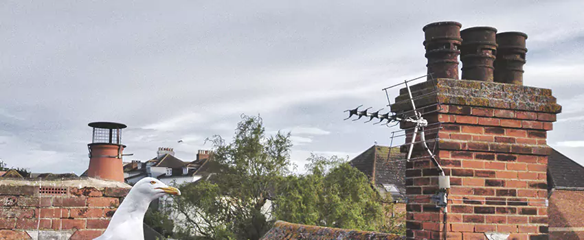 Chimney Cleaning And Restoration in Saratoga Springs, New York